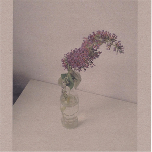 一区二区三区www污污污网站
