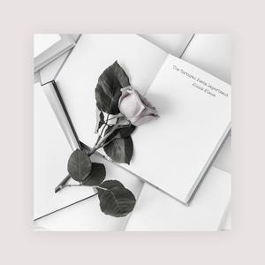 一区二区三区www污污污网站
